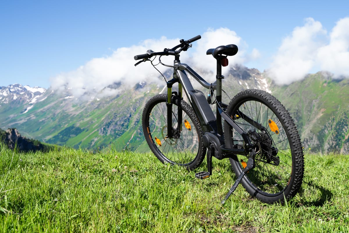 Mountain bike elettrica