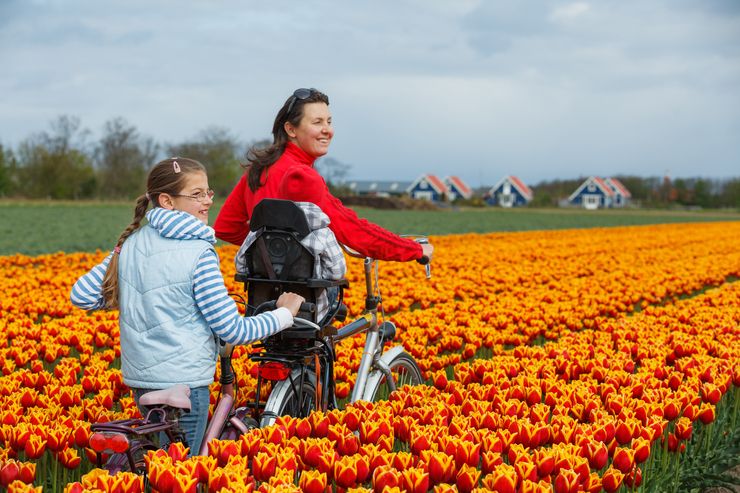 Bici tra i tulipani