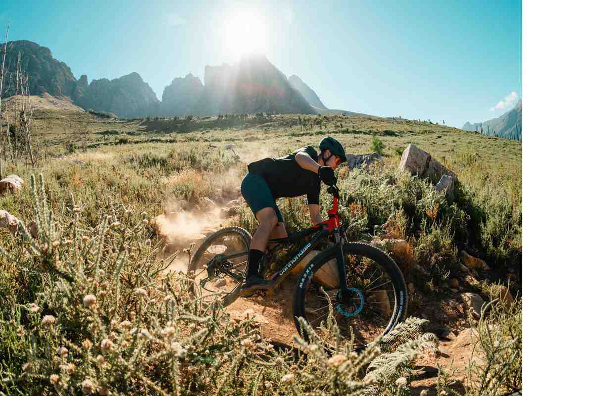 Cannondale Scalpel