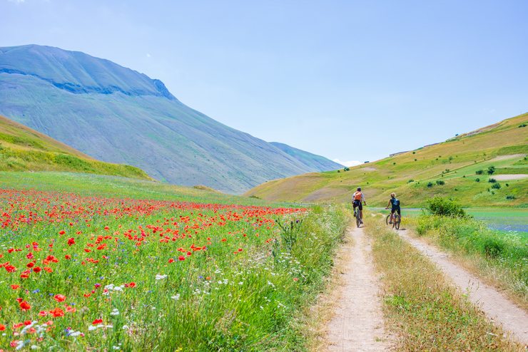 GEA Bike Trail