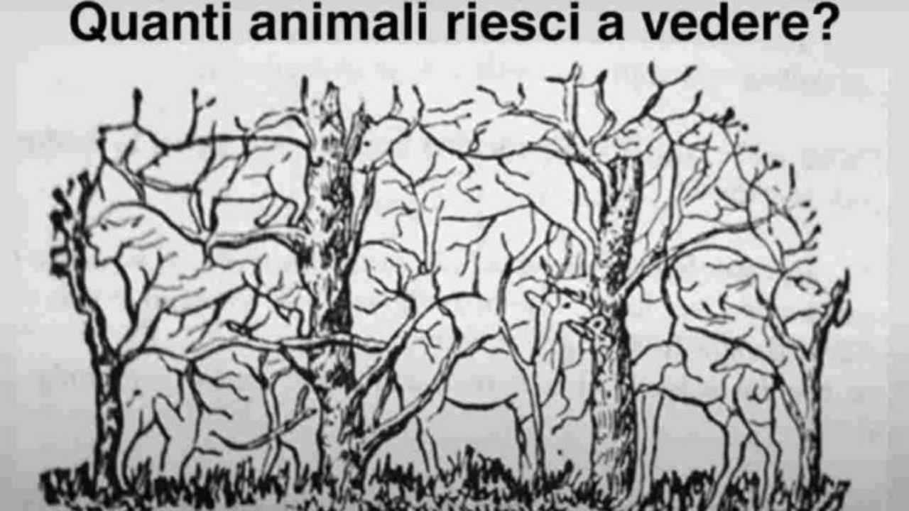 Il test visivo - fonte ilquotidianodellazio.it - suipedali.it