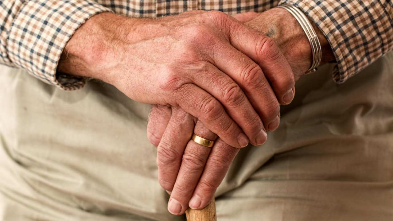 Pensioni, il calo del 2025 - fonte Pexels - suipedali.it